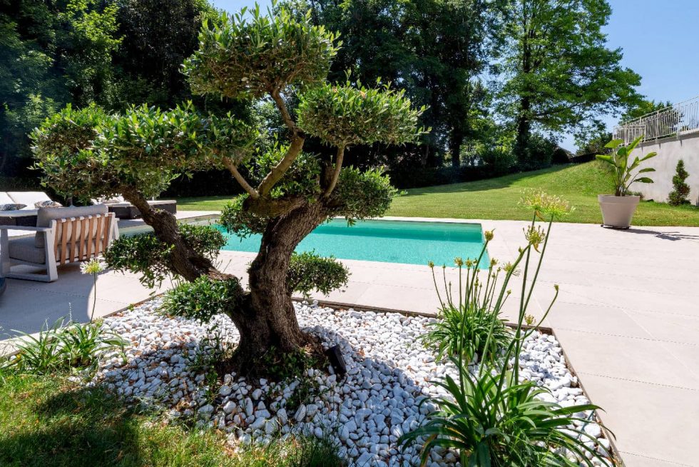 Arbre taillé et massifs de galets décoratifs au bord d’une piscine moderne à fond plat à Buellas, près de Bourg-en-Bresse