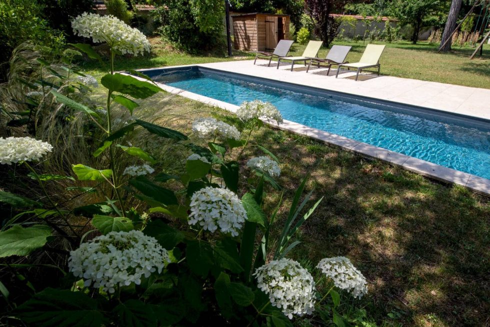 Massif de fleurs blanches en premier plan avec vue sur la piscine couloir de nage à Beynost