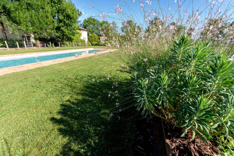 Vue d’ensemble sur la piscine en briques et son terrain paysager