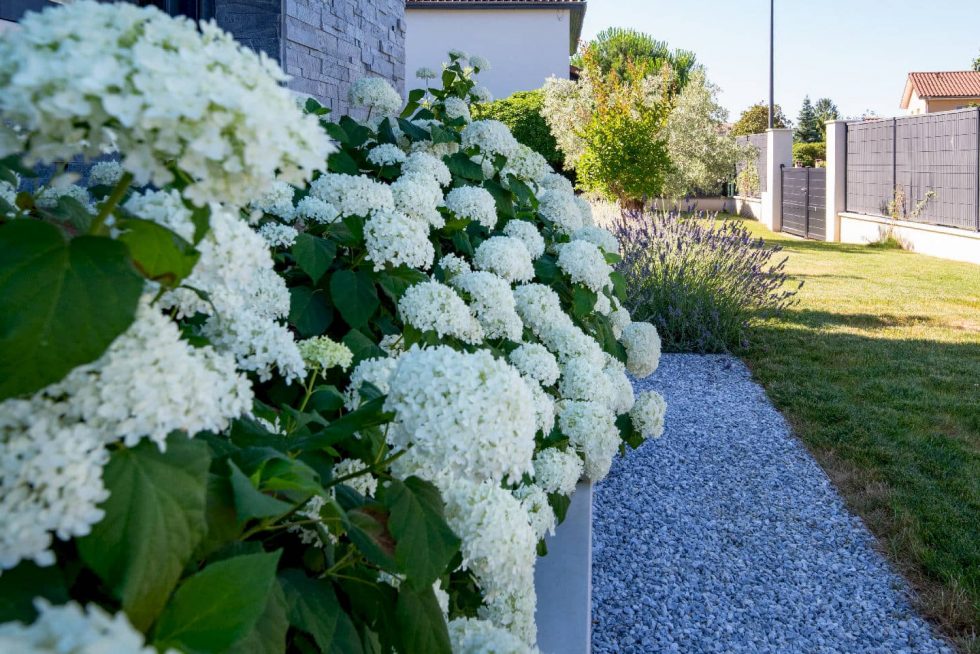 Vue frontale de la piscine béton armé à Parcieux avec plage en grès cérame