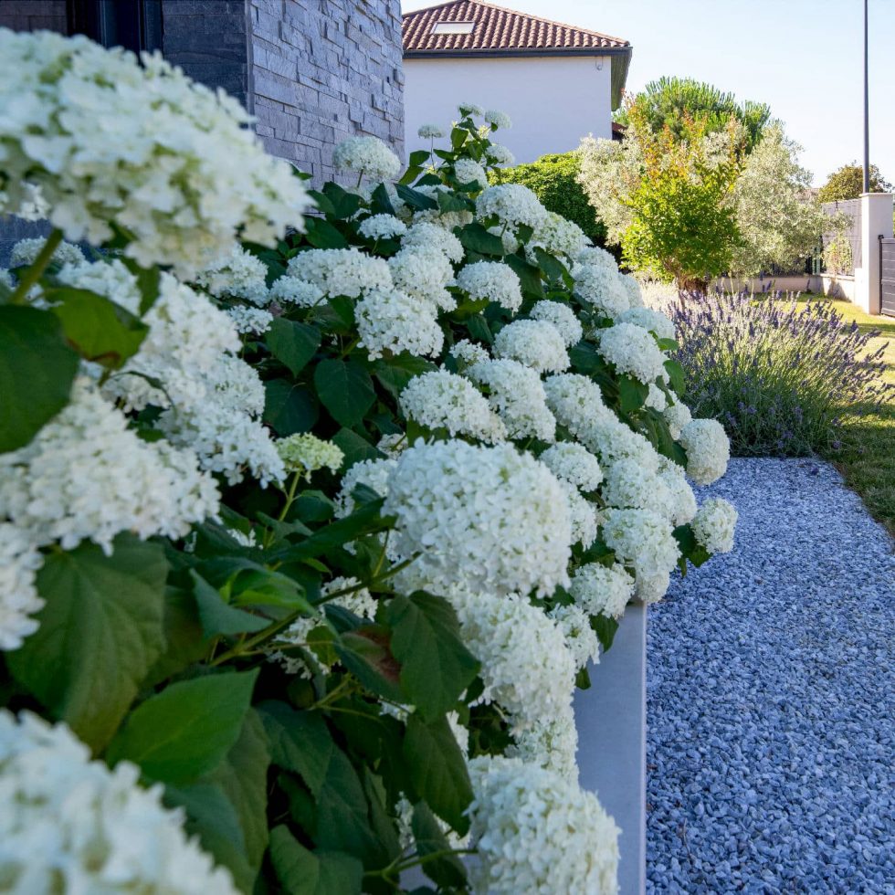 Maison contemporaine avec piscine et aménagement paysager à Parcieux dans l’Ain