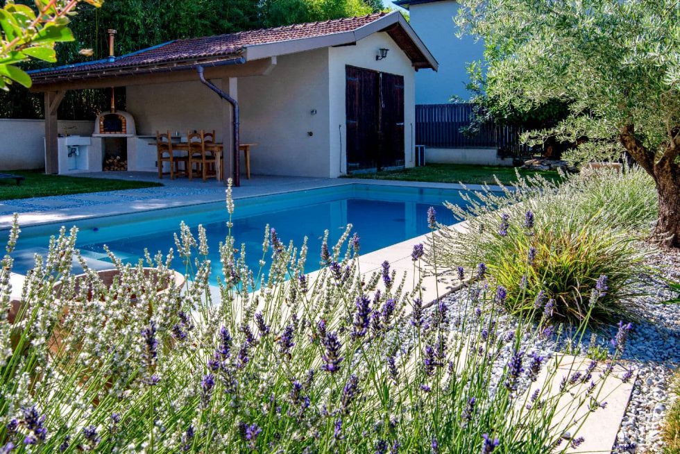Piscine avec plantations, pelouse et arbres à Parcieux (01600)
